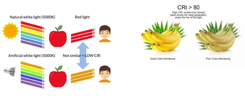 Chỉ số hoàn màu đèn LED