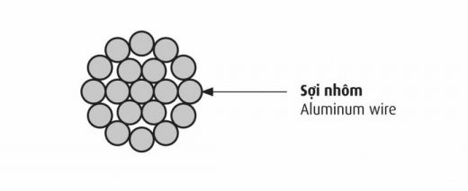 Cấu trúc dây nhôm trần xoắn A-50mm2 Cadivi
