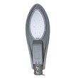 Đèn đường chiếc lá 80W (VL-SL01-80765) VI-LIGHT