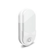 Đèn gắn tường cảm biến 15W Oval (GT16.PIR 220x100/15W) Rạng Đông