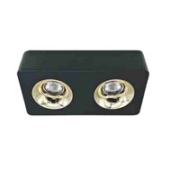 Đèn ốp trần hộp đôi AFC 769 D/2 12W Anfaco (led COB chiếu điểm)