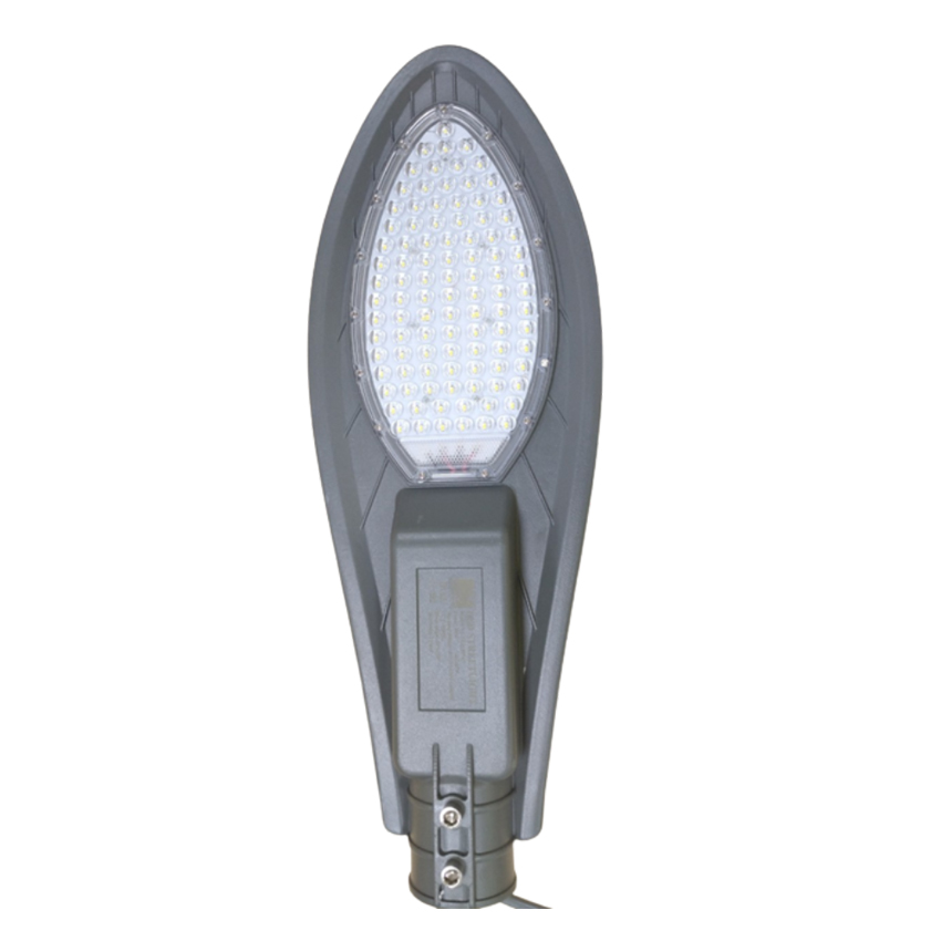 Đèn đường chiếc lá 80W (VL-SL01-80765) VI-LIGHT
